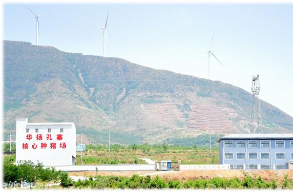 汝州市夏店镇：靠优质养殖产业带动群众增收