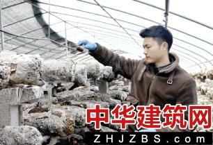 河南汝州：香菇产业助推乡村经济发展