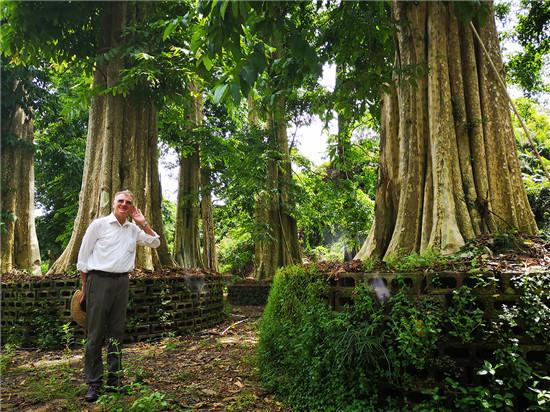 世界級建筑大師共赴人類森林生態家園打造之約——全球首個千年古樹康養綜合體“胎動”大灣區