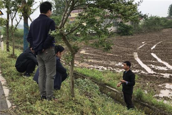 湖南省洞庭湖区化肥减量数据虚假失真