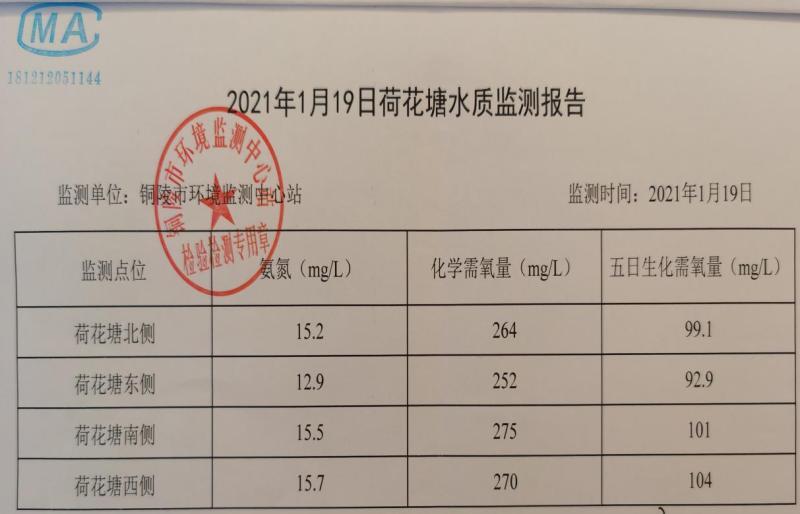 安徽省铜陵市郊区工作敷衍应付 荷花塘超标污水排入长江