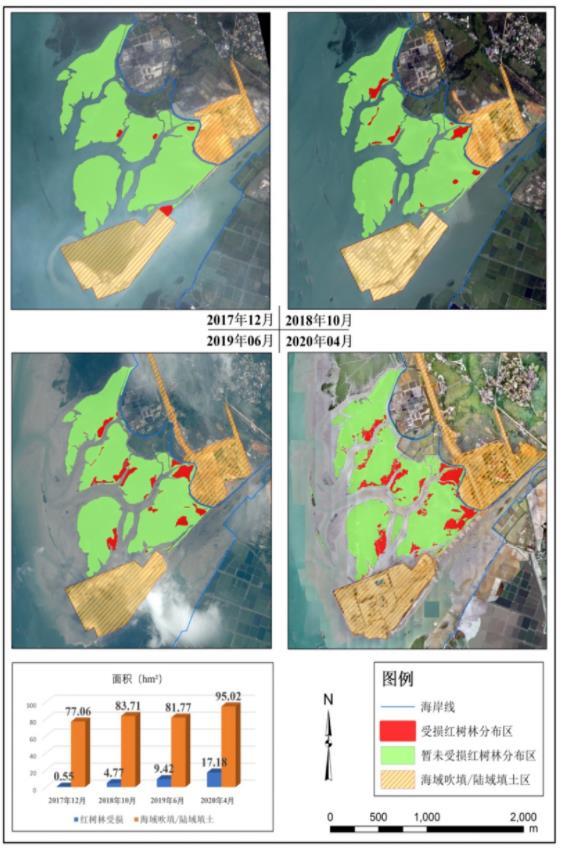 广西北部湾国际港务集团生态环保意识淡薄 违规施工致红树林大面积受损