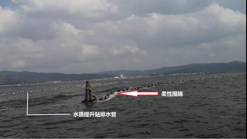 云南玉溪杞麓湖污染治理治标不治本 水质长期得不到改善