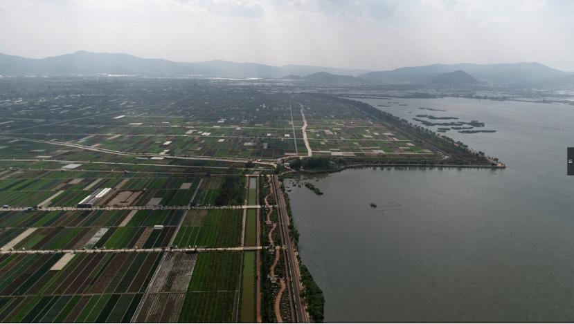 云南玉溪杞麓湖污染治理治标不治本 水质长期得不到改善
