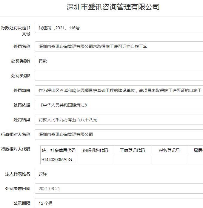 深圳市盛讯咨询管理有限公司