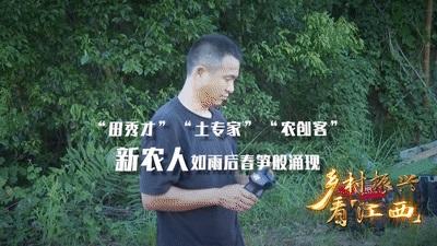 “五美”乡村 “赣”出精彩——乡村振兴看江西
