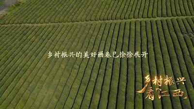 “五美”乡村 “赣”出精彩——乡村振兴看江西