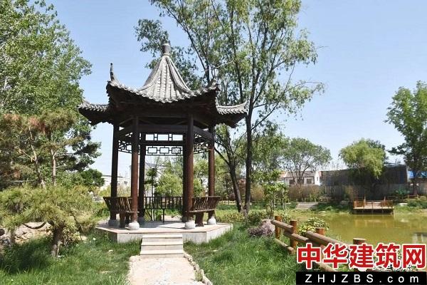 河南长垣付寨村：写好乡村振兴锦绣“文章”