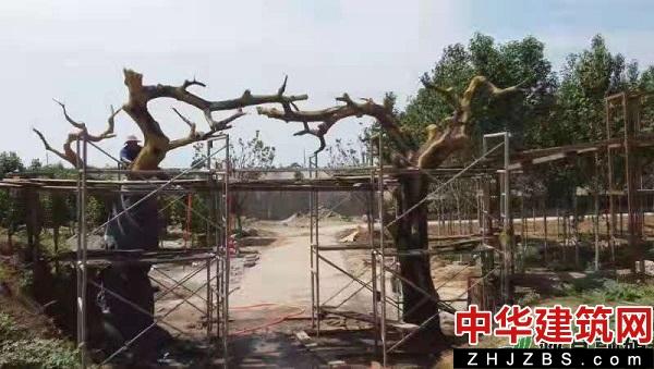 你好,小康