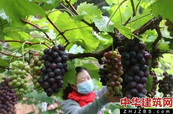江苏东海：“因水而灵”“三水”联动 富了百姓 美了乡村