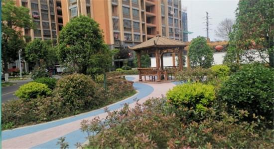 淮安：从住有所居到住有宜居 老旧小区改出一片新天地