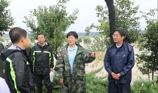 这力量比铁还硬比钢还强——修武县防大汛抗大洪抢大险纪实