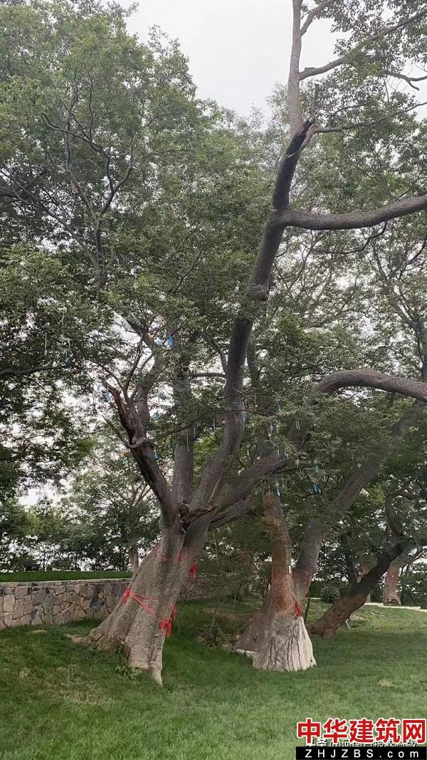 山乡有景入画来——修武发展乡村旅游的美学探索