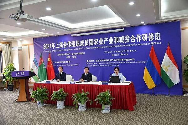 只为耕好现代农业“试验田”——写在杨凌示范区成立24周年之际