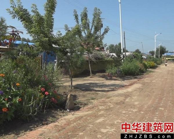 黑龙江肇源县新站镇：环境卫生整治“走出”市场化运作新模式