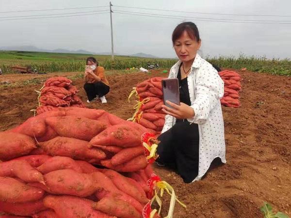 伊川县众网友：防疫助农两不误 鸣皋代言卖红薯
