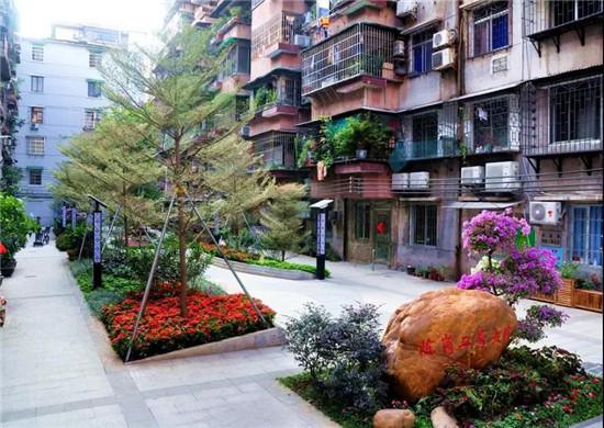 广东已开工改造1326个老旧小区 惠及约28万户居民