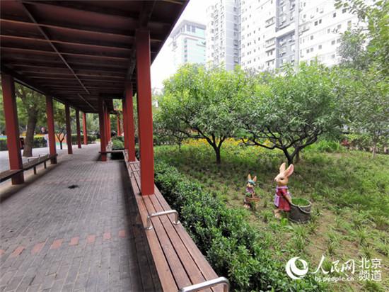 北京安贞街道实施小微公园改造提升 老旧小区新添靓丽花园