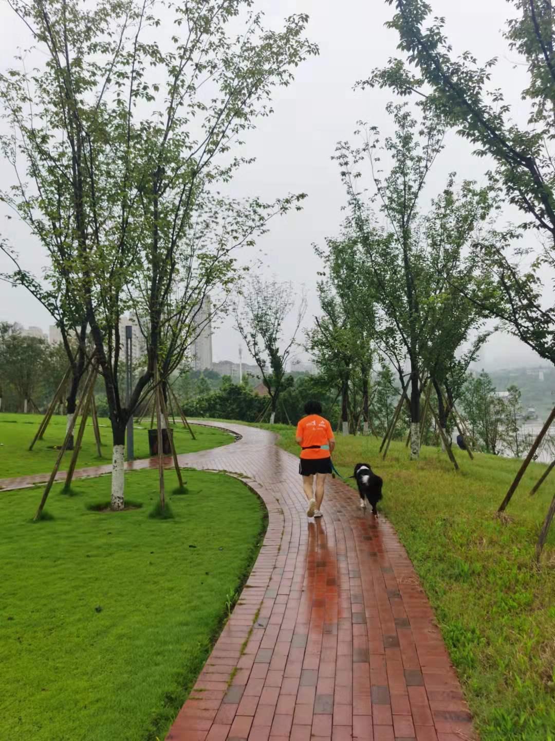 重庆今年将建成80公里城市慢行步道