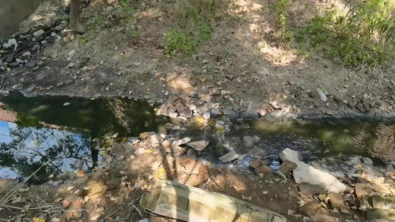 山東省菏澤市黑臭水體整治不力 水體返黑返臭問題突出