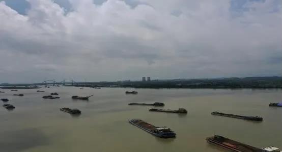 广东省一些出海水道内非法洗砂洗泥活动多发 协同监管打击不力