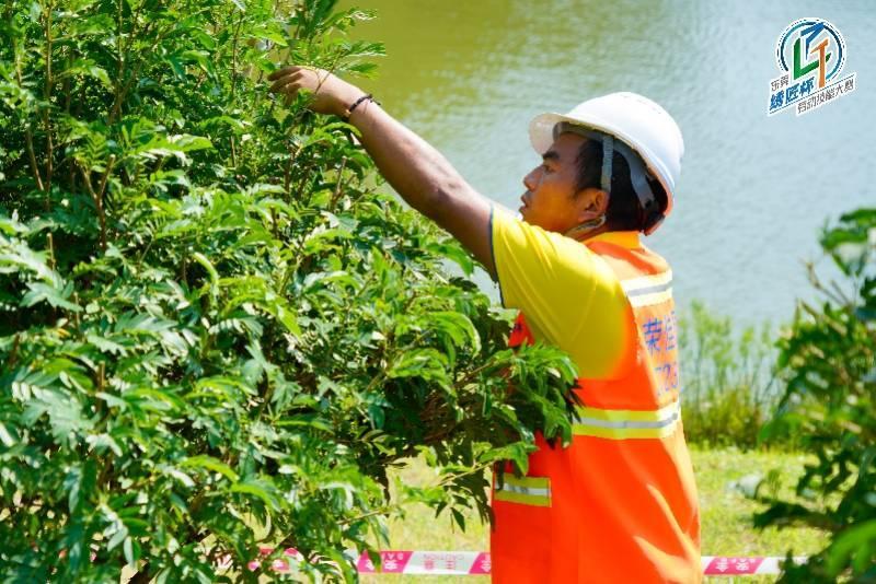 廣東東莞舉行勞動技能大賽園林綠化行業決賽