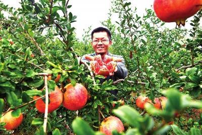 河南汝州：勇立潮头风帆劲 砥砺奋进谱新篇