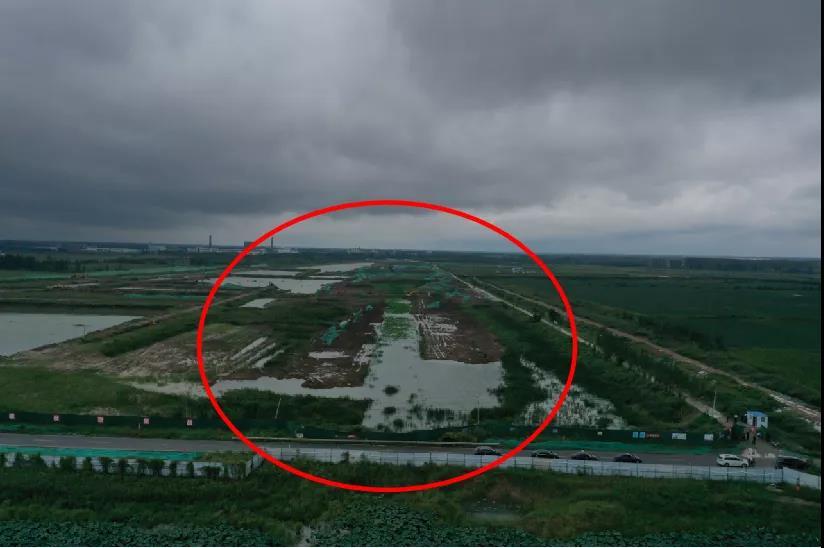 山东省一些地市部分湿地公园管理混乱 违规问题突出