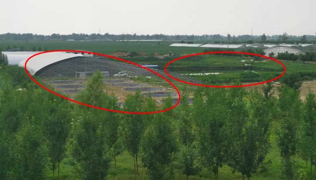山东省一些地市部分湿地公园管理混乱 违规问题突出
