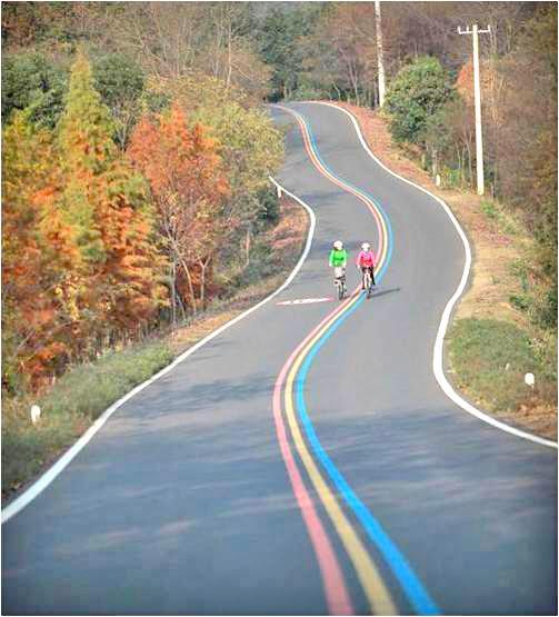 四市共建环太湖示范路 278公里一路皆风景