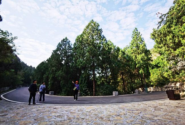 济南千佛山绿道让市民收获满满幸福感