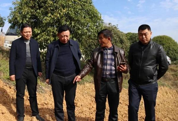 湖南邵东：周玉凡带队深入乡镇 调研乡村振兴工作