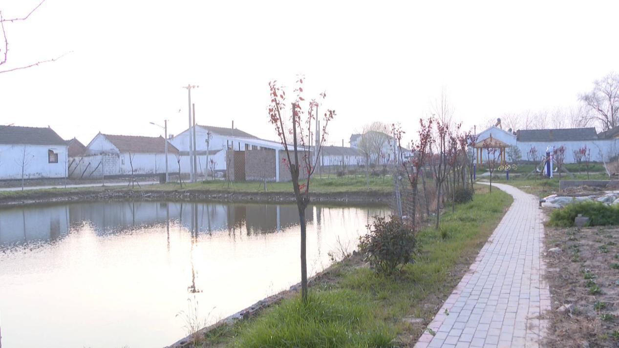 江苏睢宁王集镇双营社区：全面优化村庄环境 打造家门口的生态红利