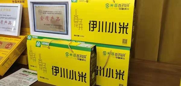 河南伊川：“摆场”邀来专家共鉴小米品质