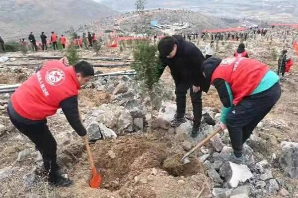 生态优先 绿化先行 修武县启动10万亩荒山造林计划