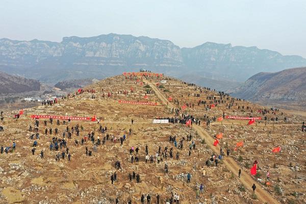 生态优先 绿化先行 修武县启动10万亩荒山造林计划