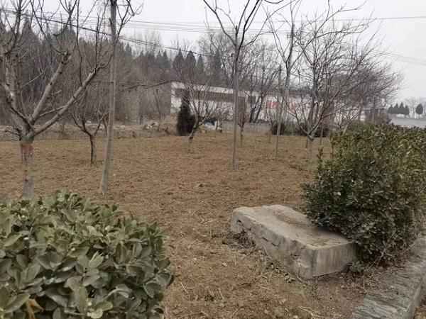博爱县寨豁乡坚持“三个导向”一体推进农村人居环境整治绿化工作