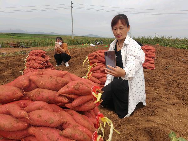 河南伊川：城乡双向流通助力乡村振兴