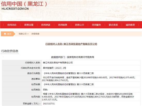 嫩江市润东房地产有限责任公司不纳税申报被罚192万余元