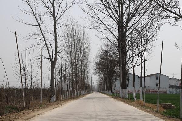 商丘市睢阳区新城街道办事处：持续掀起人居环境整治热潮