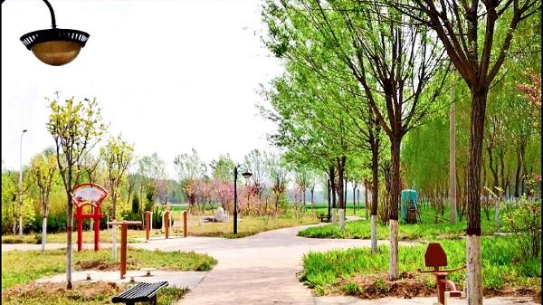 长垣市住建部门多举措打好春季绿化工作“组合拳”