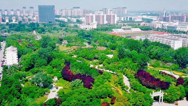 长垣市住建部门多举措打好春季绿化工作“组合拳”