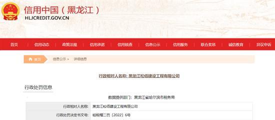 黑龙江松佰建设工程有限公司虚开增值税专用发票被罚20万元