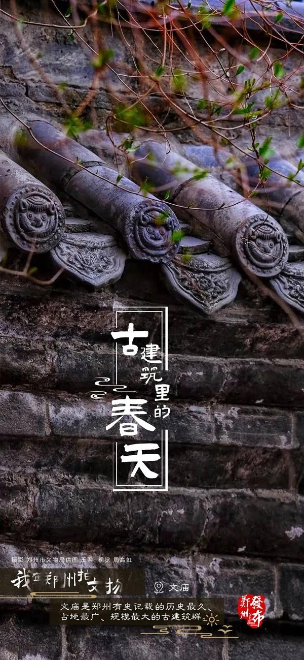 河南郑州：古建筑里看春色 方是春景“天花板”