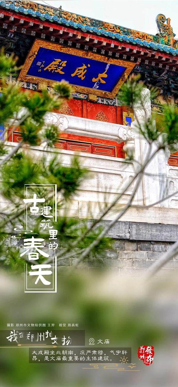河南郑州：古建筑里看春色 方是春景“天花板”