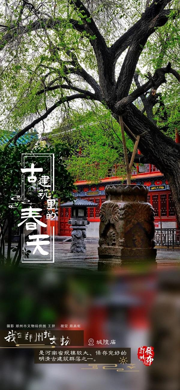 河南郑州：古建筑里看春色 方是春景“天花板”
