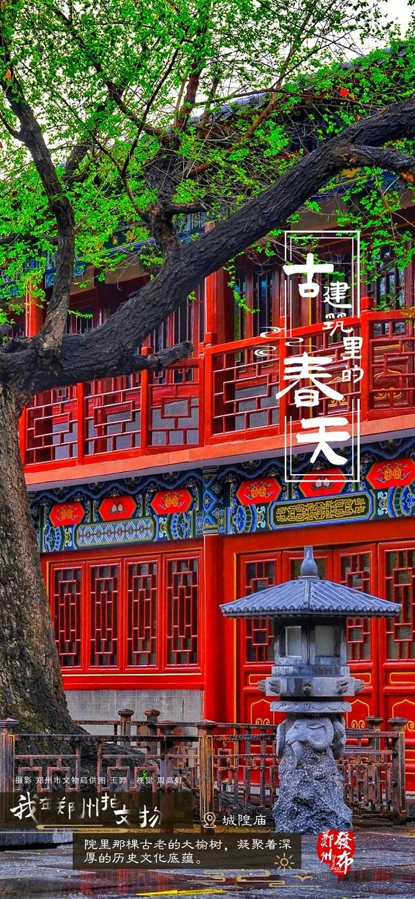 河南郑州：古建筑里看春色 方是春景“天花板”