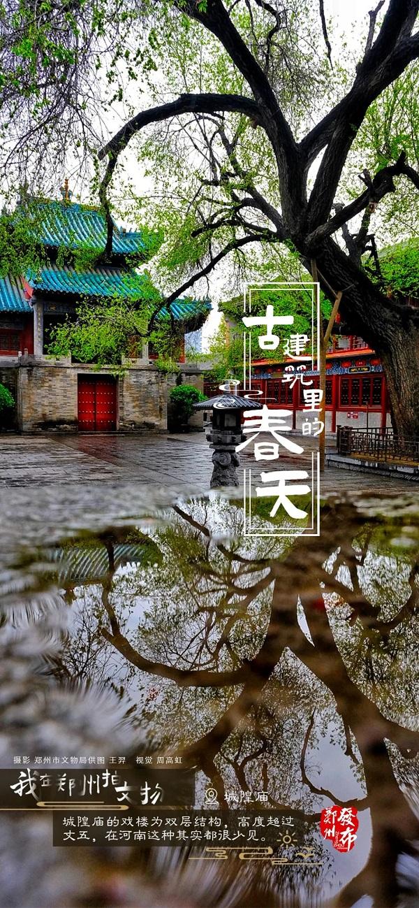 河南郑州：古建筑里看春色 方是春景“天花板”