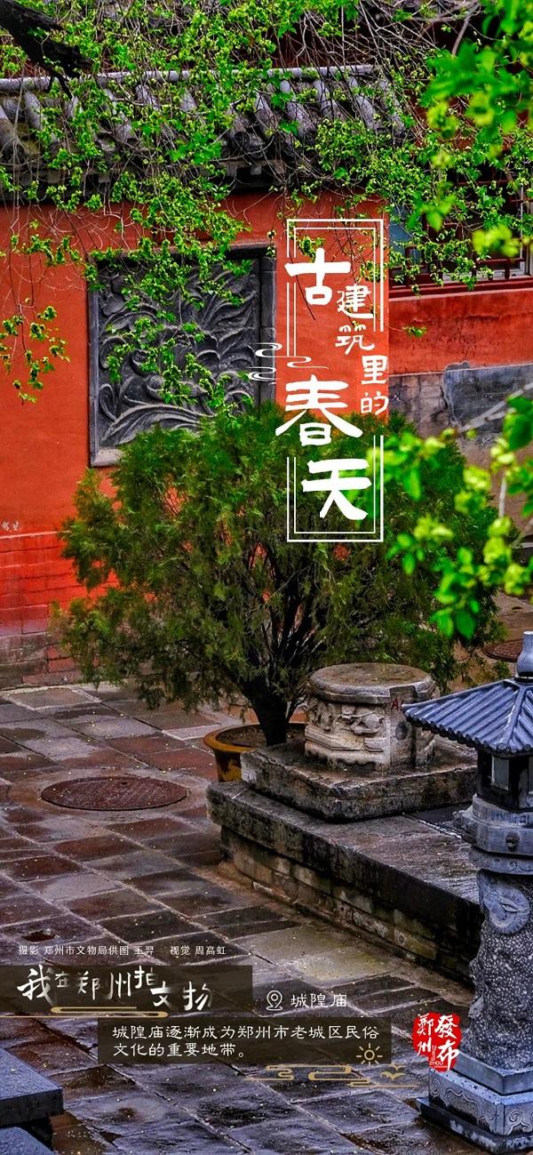 河南郑州：古建筑里看春色 方是春景“天花板”