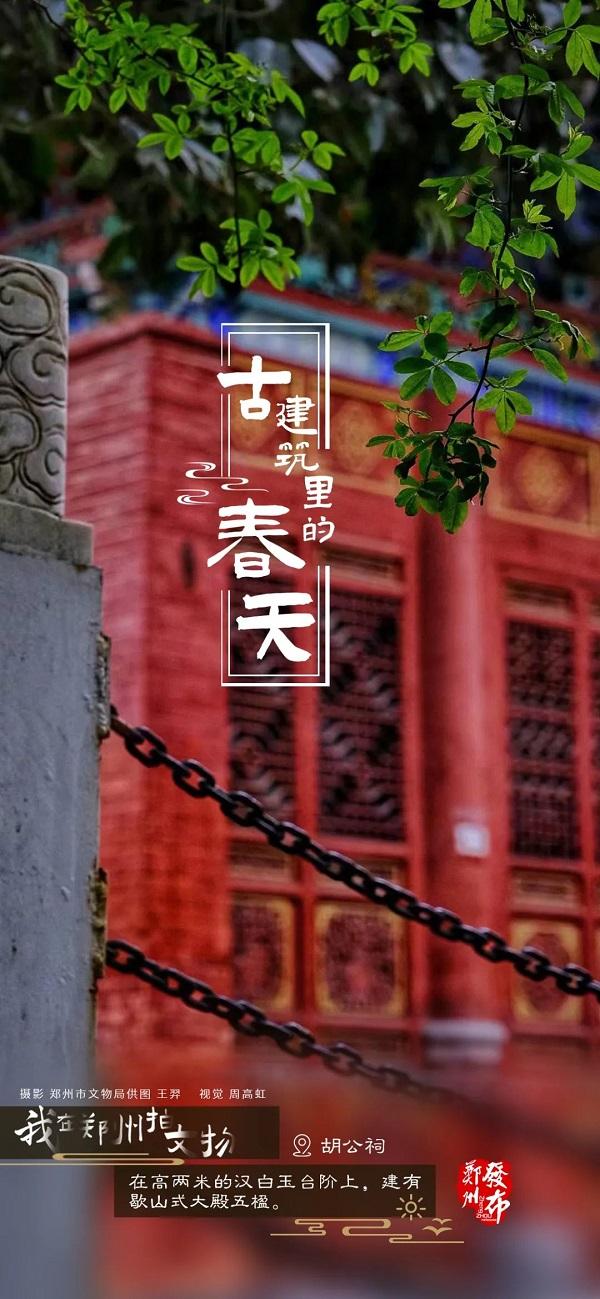 河南郑州：古建筑里看春色 方是春景“天花板”